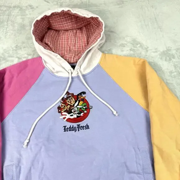 Teddy Fresh x Looney Tunes Colorblock Hoodie Size M Embroidered Graphic Fleece - Picture 2 of 8